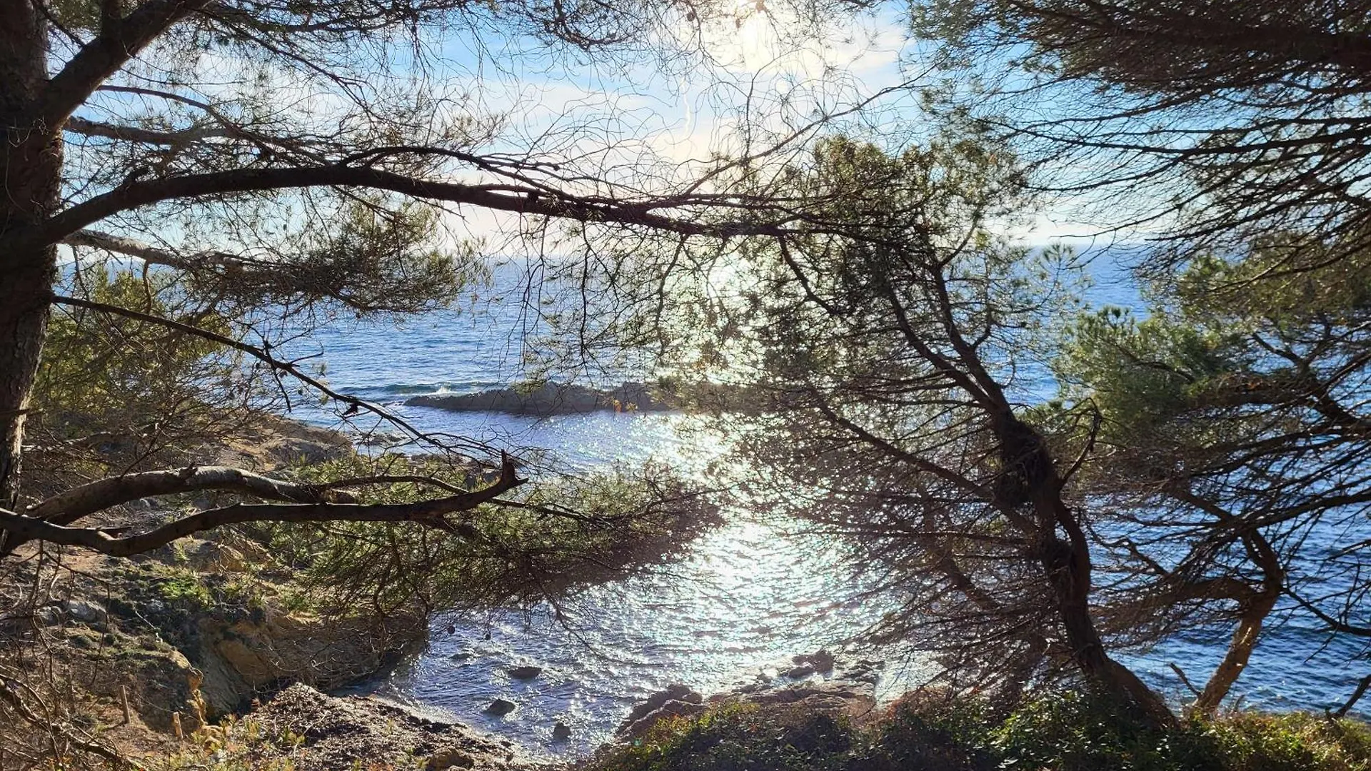 Διαμέρισμα Havre De Paix A Deux Pas Du Centre Ville Et De La Plage Cavalaire-sur-Mer